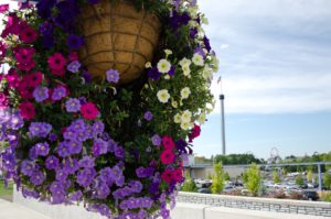 Flower basket overlooking Hersheypark